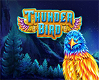 Thunder Bird